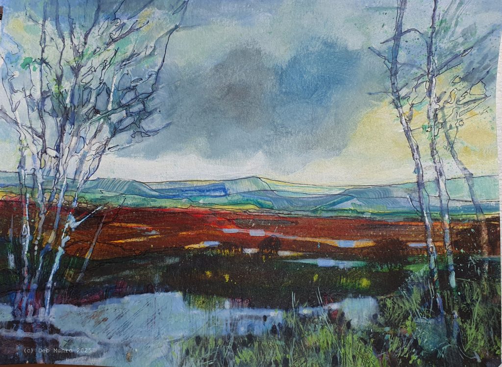 Deb M Dava Moor at dusk